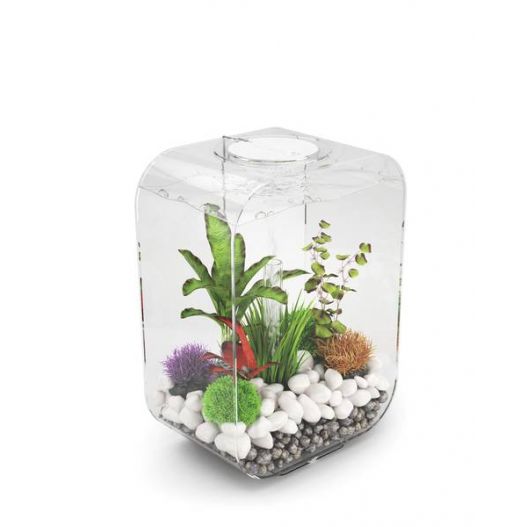 Oase - Pierre de Diffusion d'Air pour Aquarium BiOrb