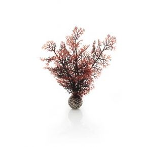 biOrb Petit corail couleurs d'automne