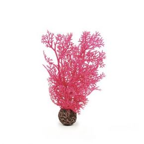 biOrb Petit corail rose