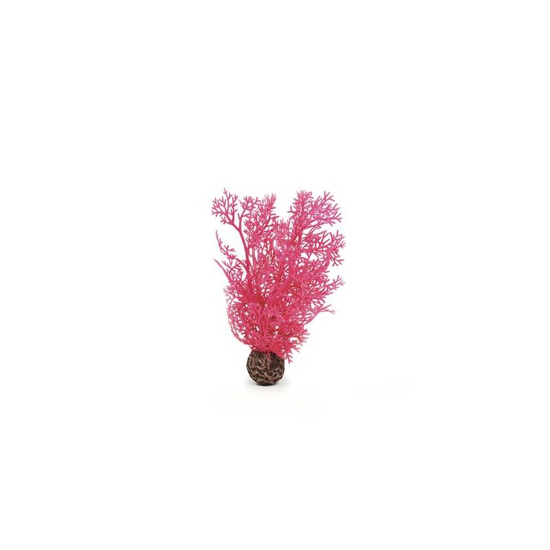 biOrb Petit corail rose