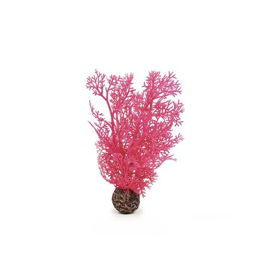 biOrb Petit corail rose