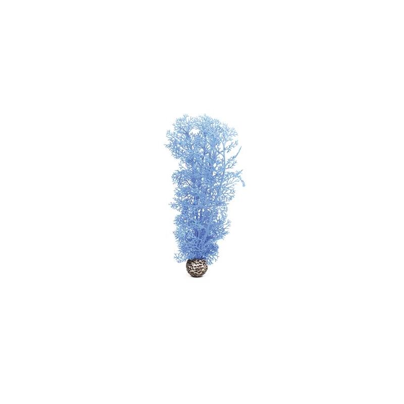 biOrb Corail moyen bleu