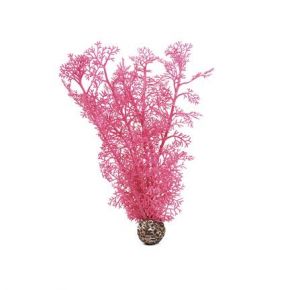 biOrb Corail moyen rose