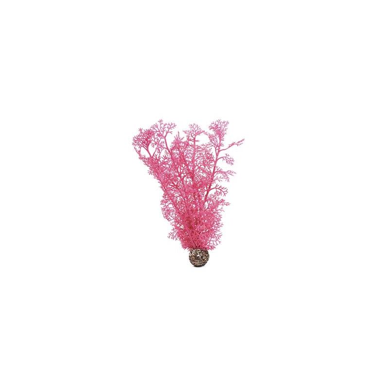 biOrb Corail moyen rose