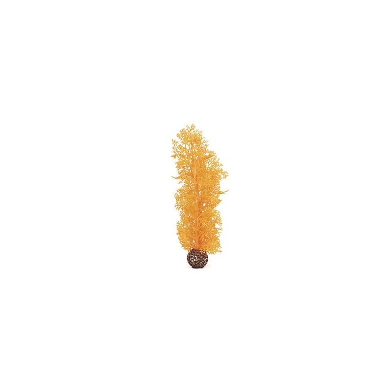 biOrb Corail moyen orange