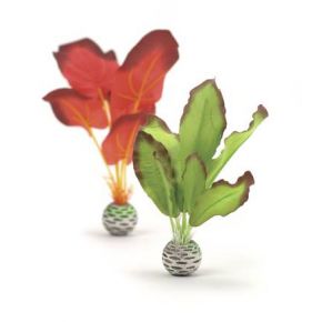 biOrb Petit set de plantes vertes & rouges