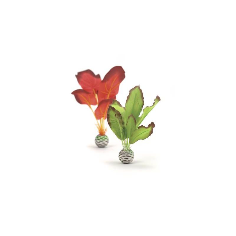 biOrb Petit set de plantes vertes & rouges