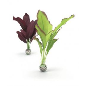 biOrb Set de plantes moyennes vertes & violettes