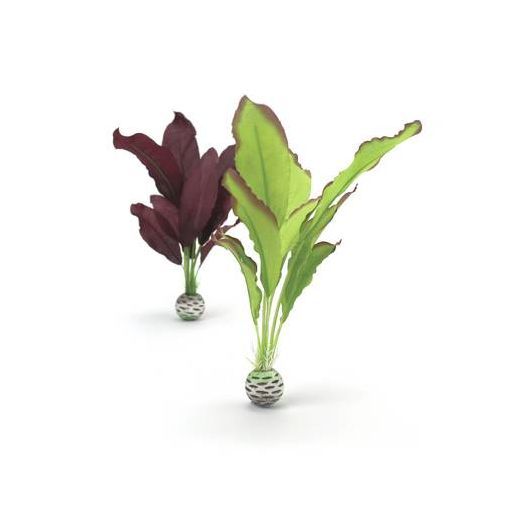 biOrb Set de plantes moyennes vertes & violettes