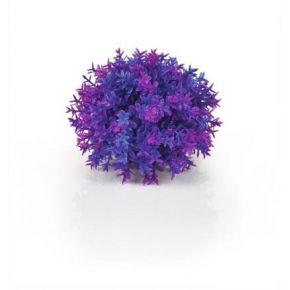 biOrb Boule topiaire violette