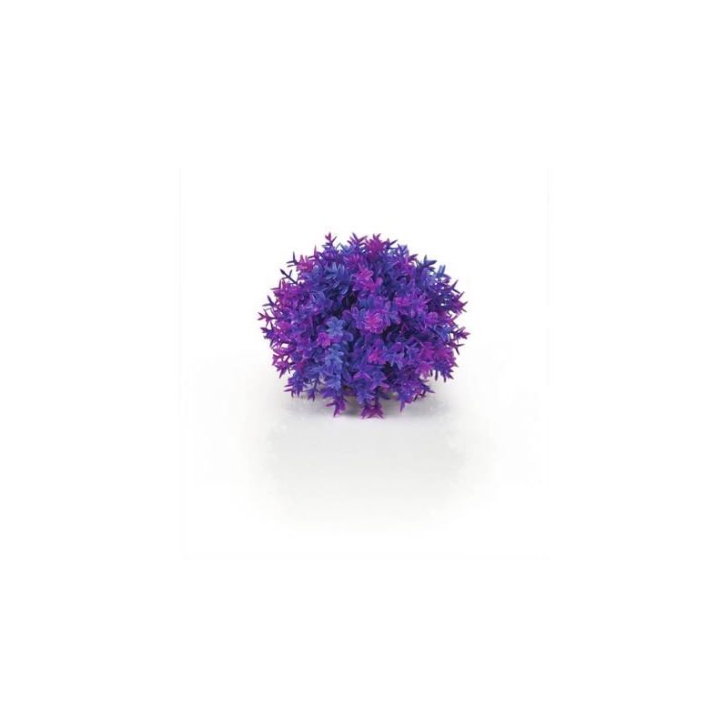 biOrb Boule topiaire violette