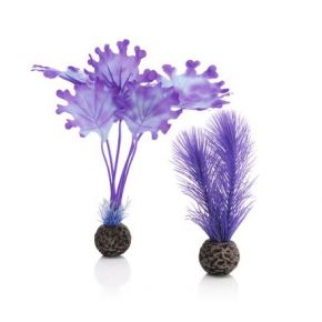 biOrb Petit set de plantes violettes