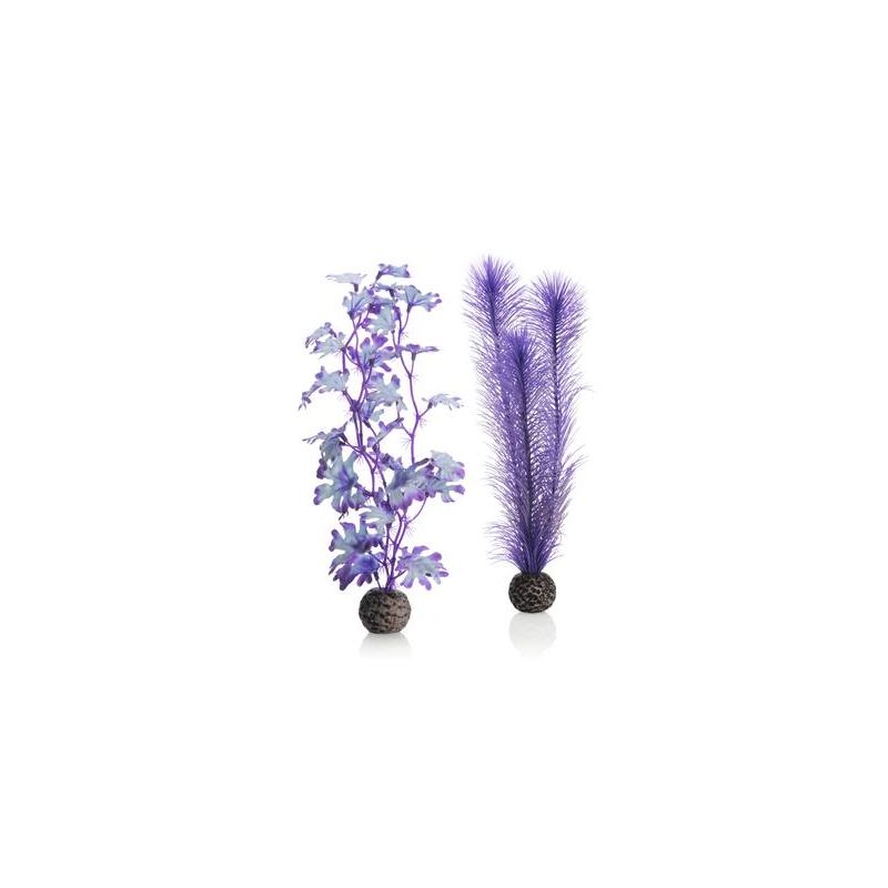 biOrb Set de plantes moyennes violettes