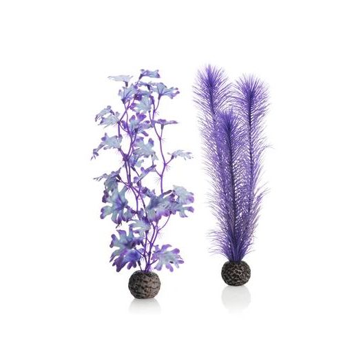 biOrb Set de plantes moyennes violettes