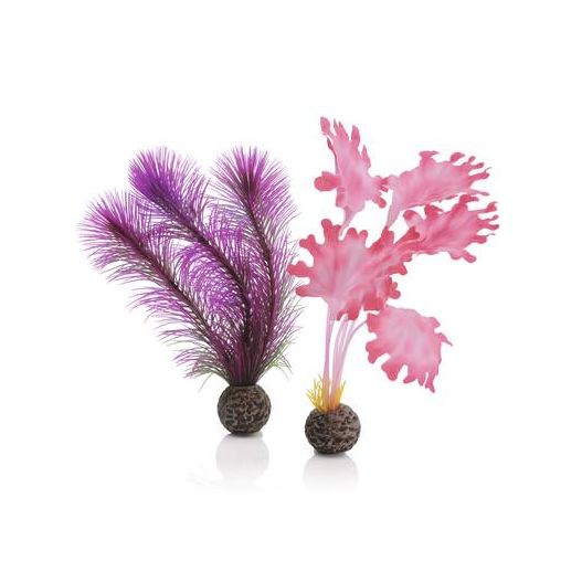 biOrb Petit set de plantes roses