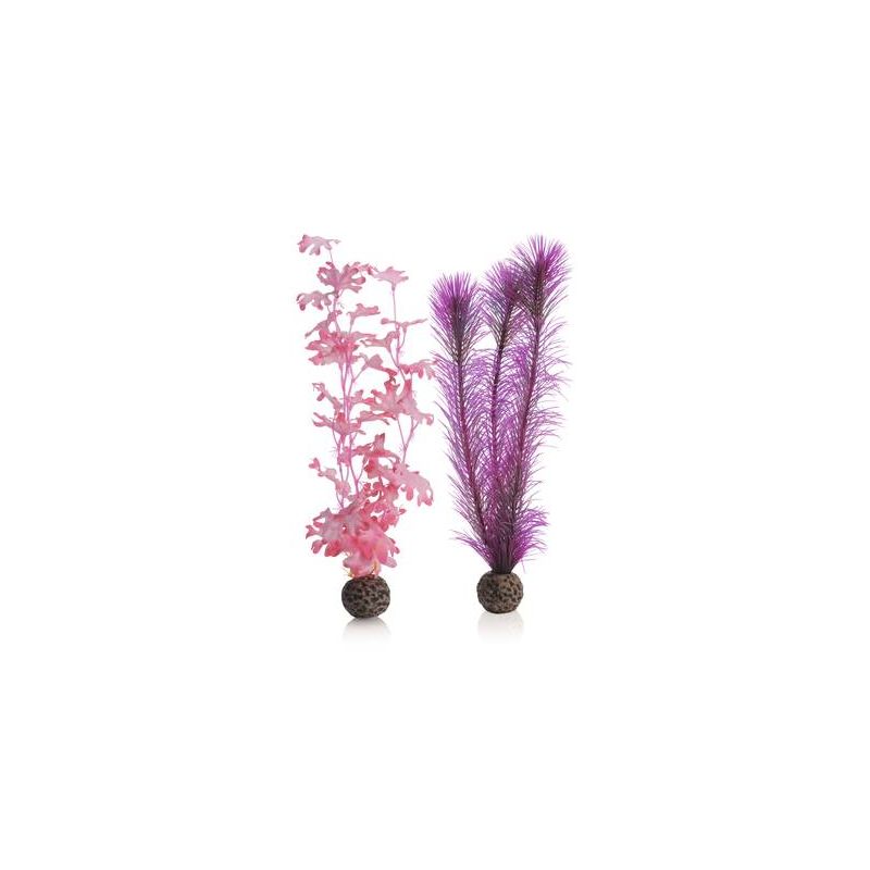 biOrb Set de plantes moyennes roses