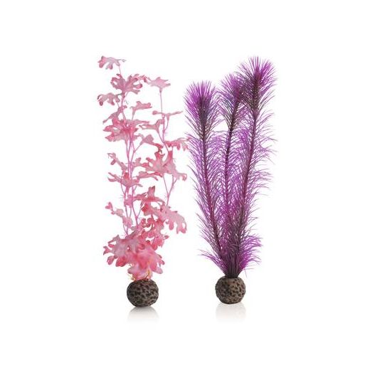 biOrb Set de plantes moyennes roses