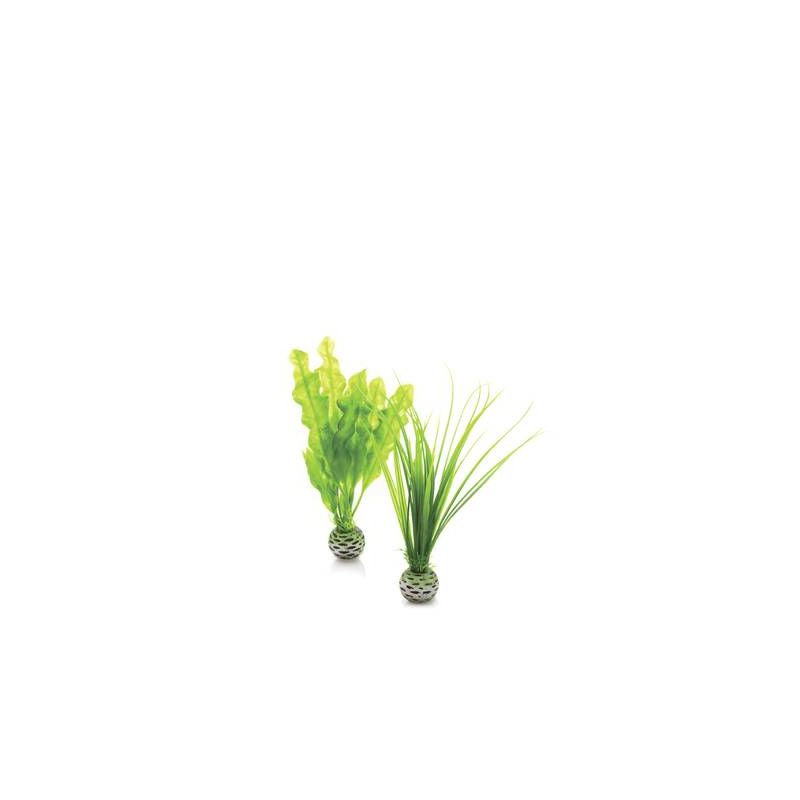 biOrb Petit set de plantes vertes