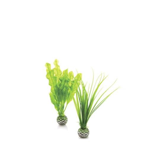 biOrb Petit set de plantes vertes