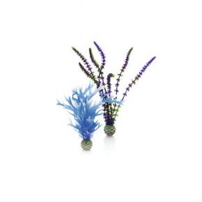 biOrb Set de plantes moyennes bleues & violettes 