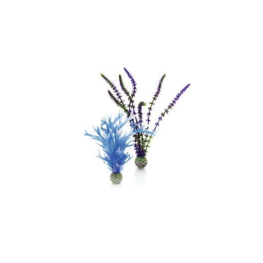 biOrb Set de plantes moyennes bleues & violettes