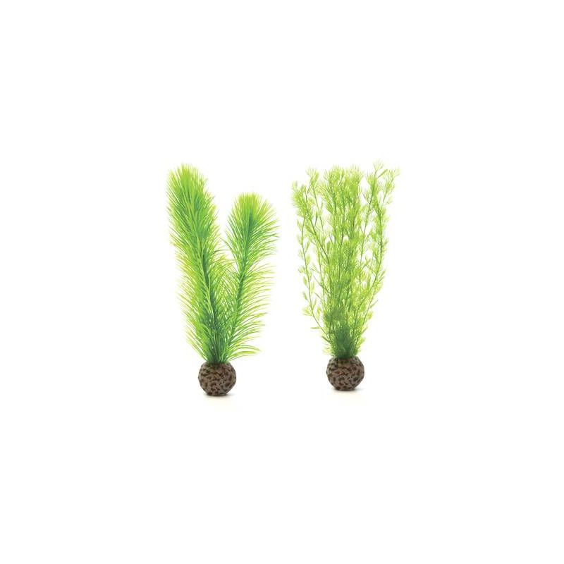 biOrb Petit set de plantes vertes