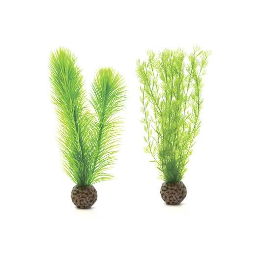 biOrb Petit set de plantes vertes