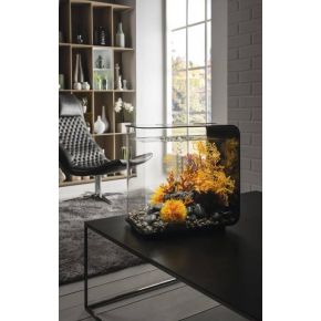Photo biOrb Flow 30L MCR Noir