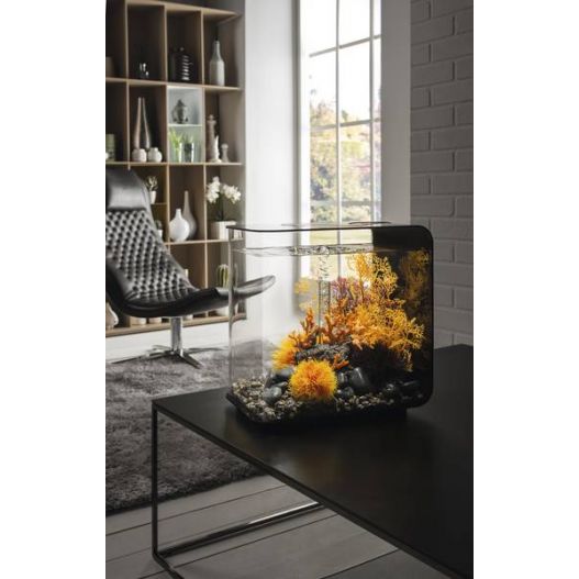 Photo biOrb Flow 30L MCR Noir