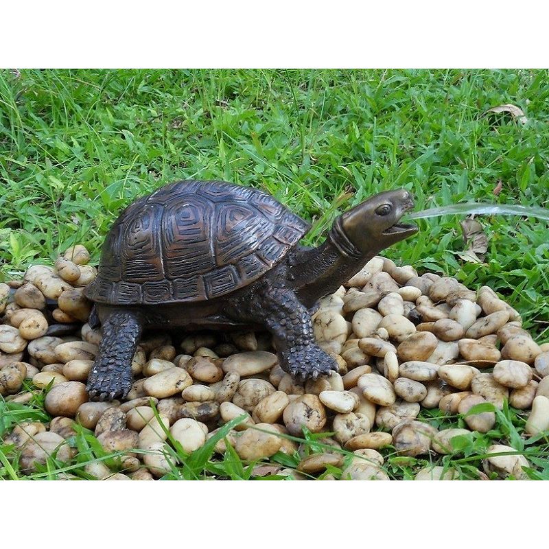 Statue Bronze Tortue