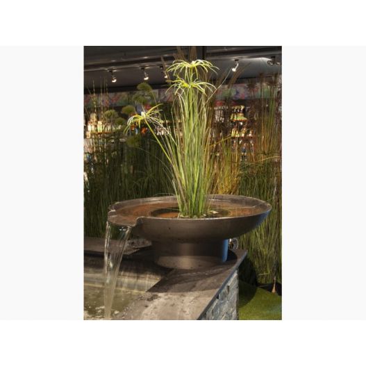 Photo 2 Vasque pour bassin de jardin