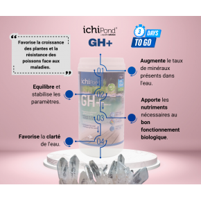 Affiche 1 GH + quatic science 1KG (10m3)