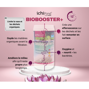 BioBooster+ 200000 (200m³) Aquatic Science