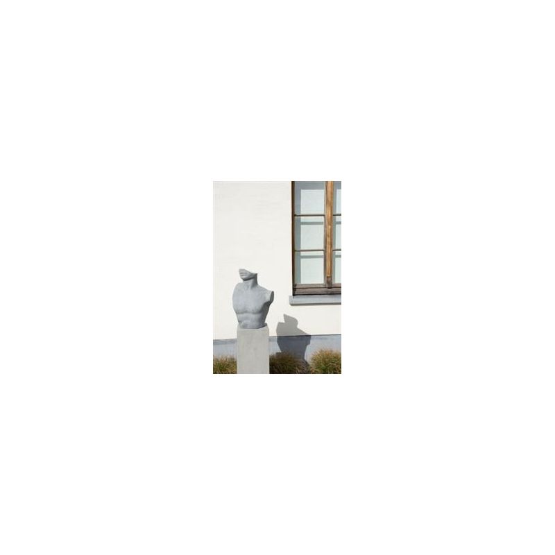 Photo 1 Deco buste homme gris