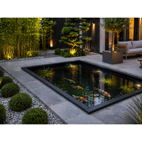 Bassin Rectangulaire 220x220x60 cm 2400L