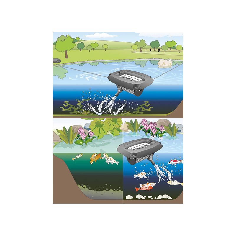 Schema Pompe bassin AquaAir 250 Enrichissement en oxygène