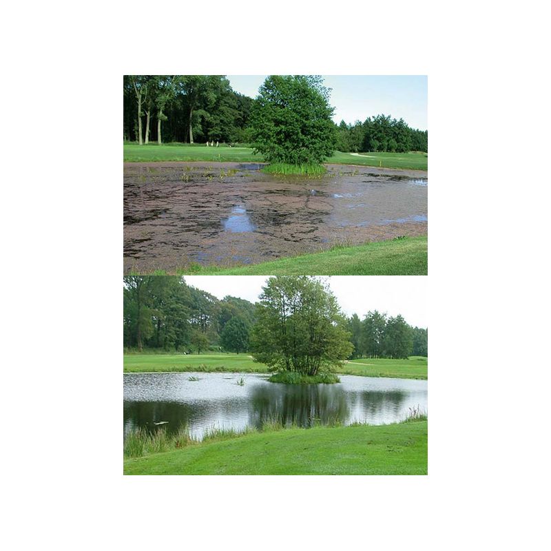 Photo 1 Pompe bassin AquaAir 250 Enrichissement en oxygène