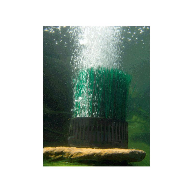 Photo 3 Pompe à air pour bassin OxyTex Set 1000 Oase