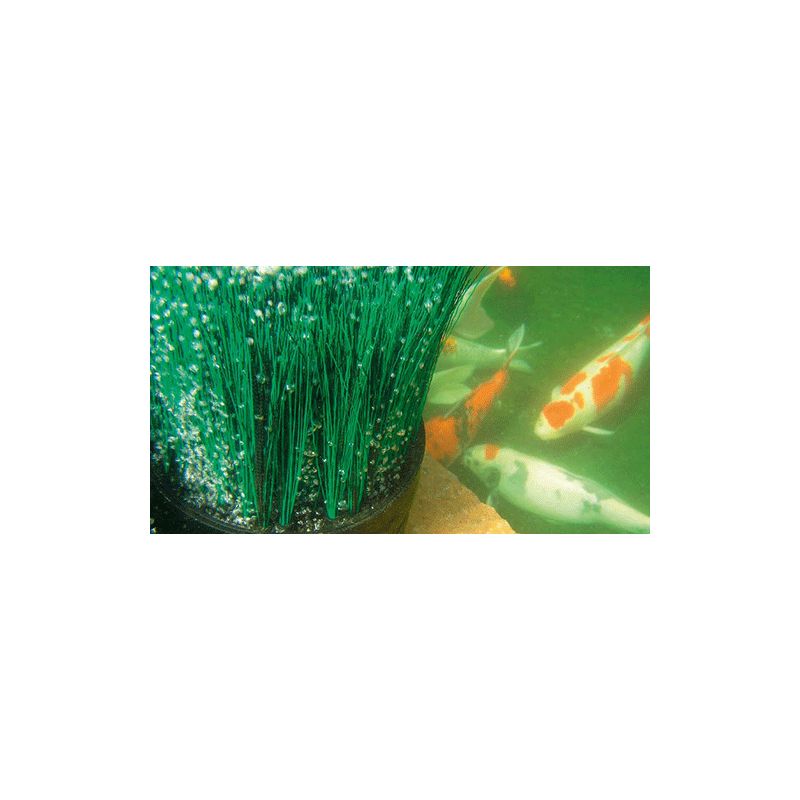 Photo 3 Aérateur pour bassin OxyTex 1000 Oase