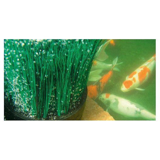 Photo 3 Aérateur pour bassin OxyTex 1000 Oase