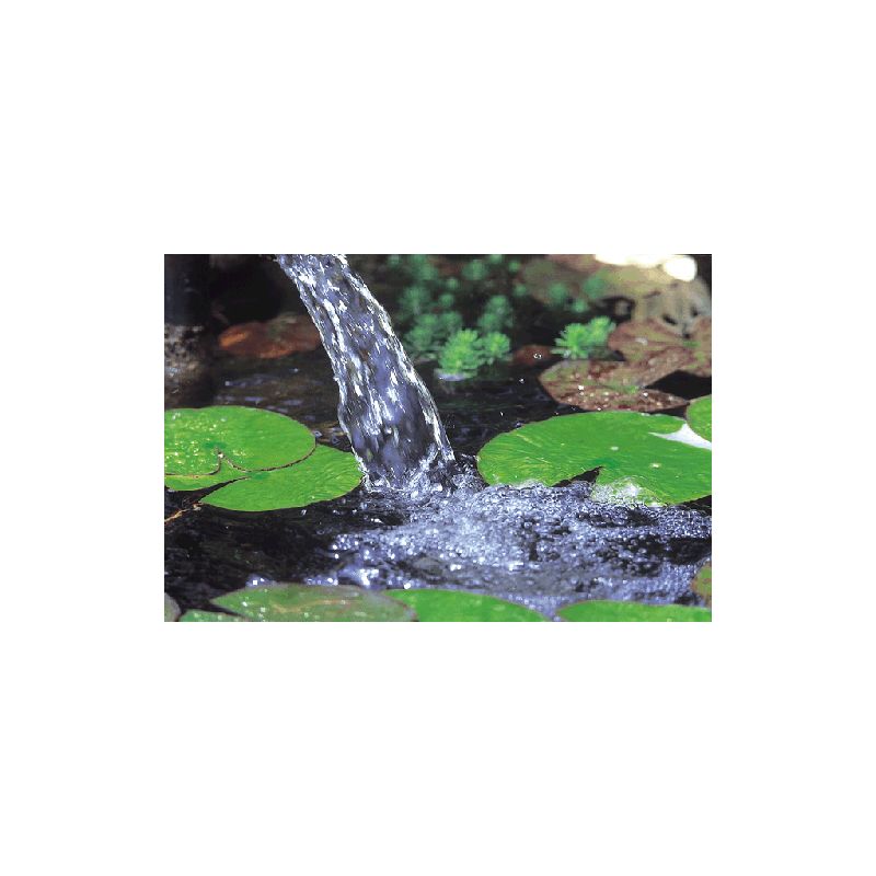 Photo 1 Filtre bassin BioSmart UVC 16000 Filtre gravitaire Oase