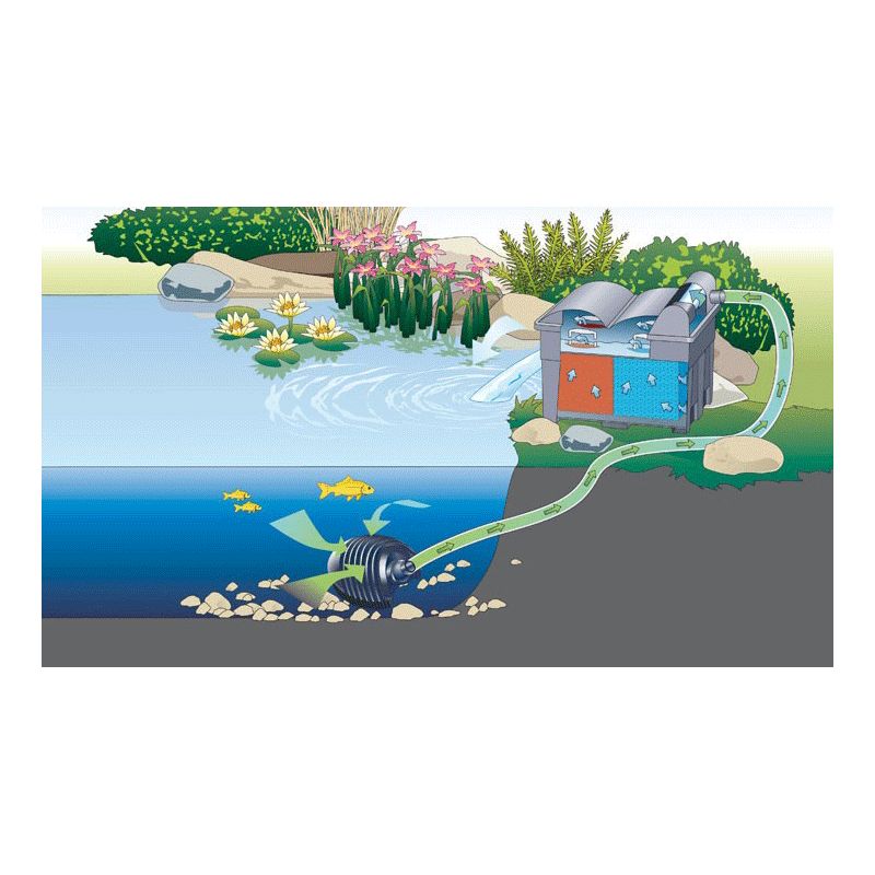 Schema Filtration bassin BioSmart Set 36000 Oase filtres gravitaires