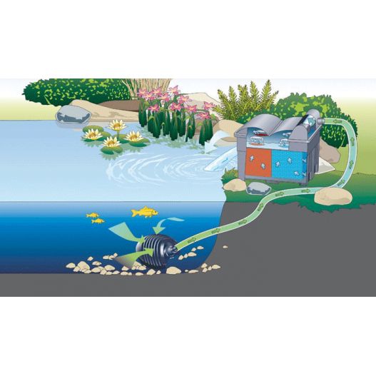 Schema Filtration bassin BioSmart Set 36000 Oase filtres gravitaires