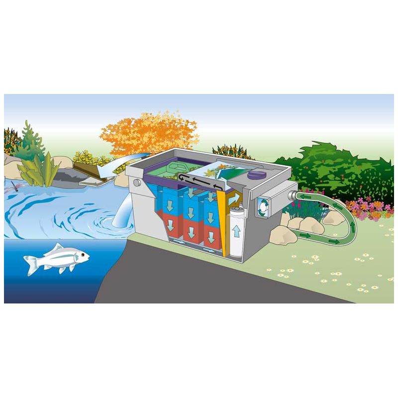 Schema Filtre bassin Biotec ScreenMatic 145000 Oase Filtre gravitaire